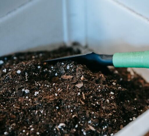 Beginner Tips for Composting at Home: A Simple Guide to Get Started